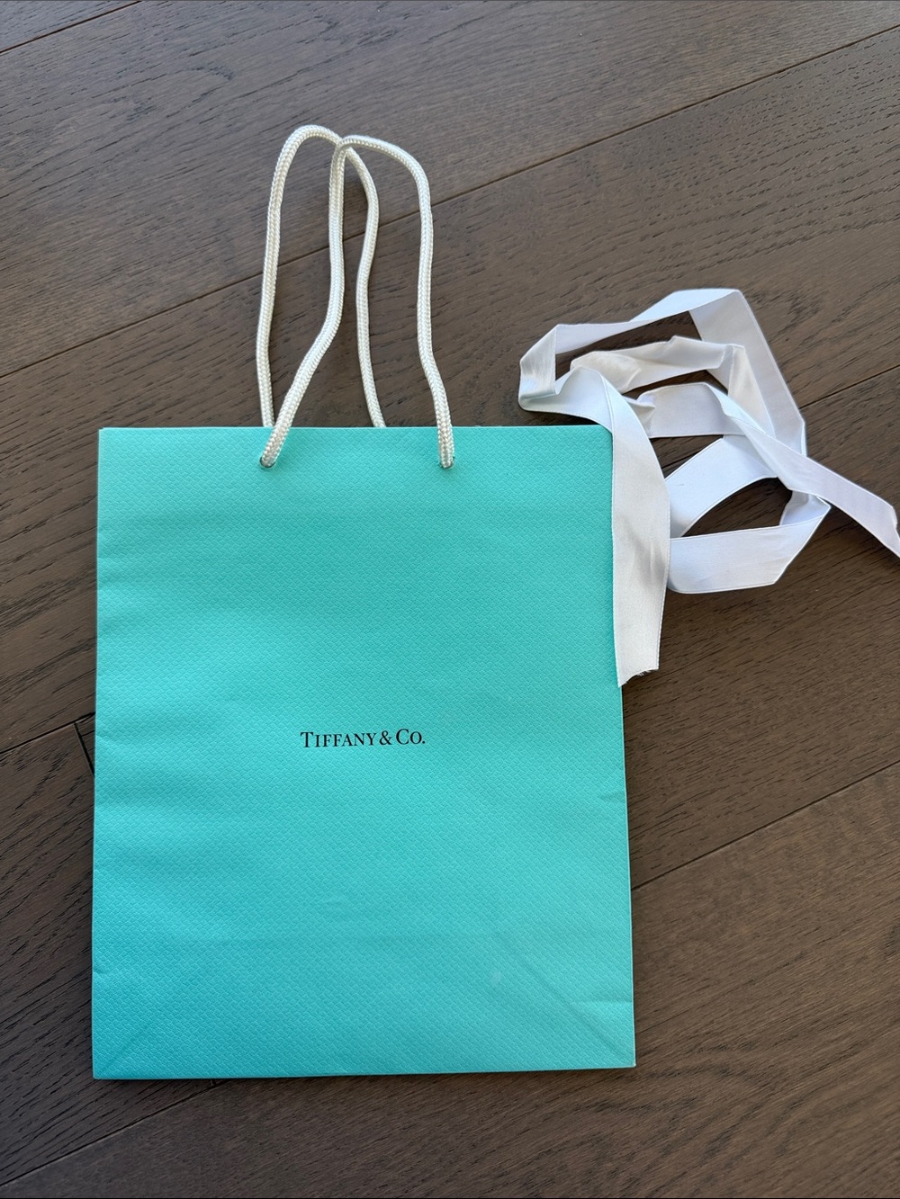 Authentic Tiffany & Co. Shopping Bag